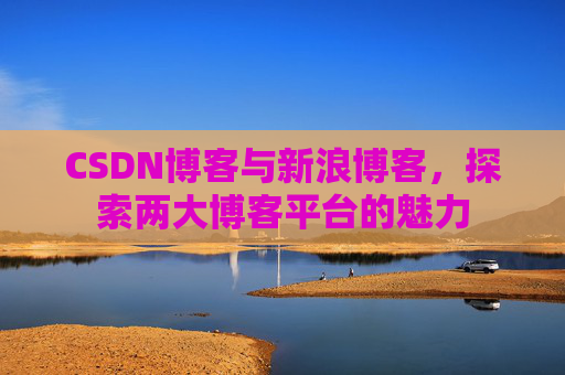 CSDN博客与新浪博客，探索两大博客平台的魅力